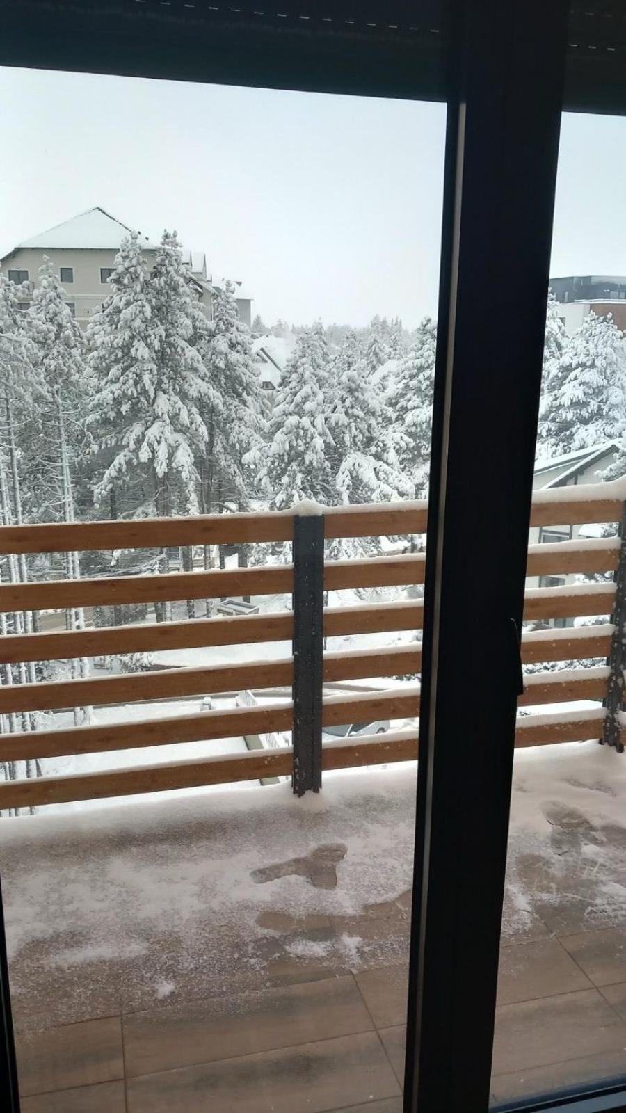 Akik Zlatibor