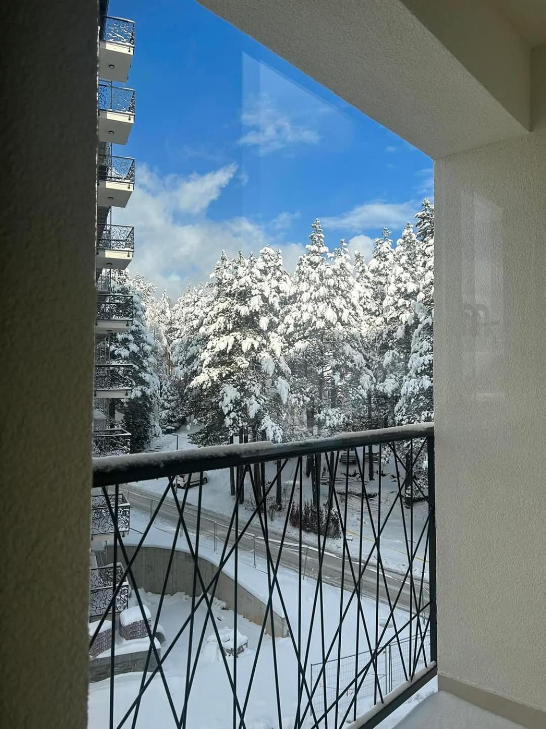 Akik Zlatibor
